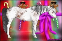 Horse Color:White Spotted Bay Ice
