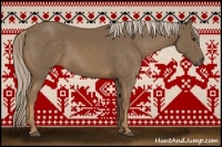 Horse Color:Chocolate Palomino 