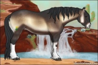 Horse Color:Bay Onyx 