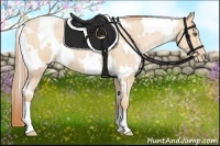 Horse Color:White Spotted Buckskin Pearl 