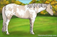 Horse Color:White Spotted Palomino Pearl Frame