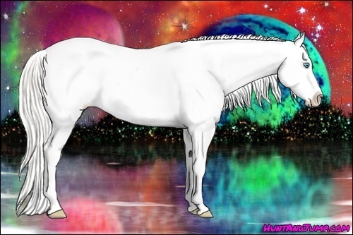 Horse Color:Cremello Dun Sabino Blanket 