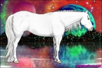 Horse Color:Cremello Dun Sabino Appaloosa 