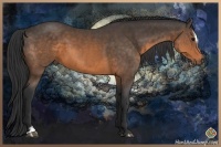 Horse Color:Buckskin Sabino