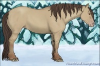 Horse Color:Classic Champagne Dun 