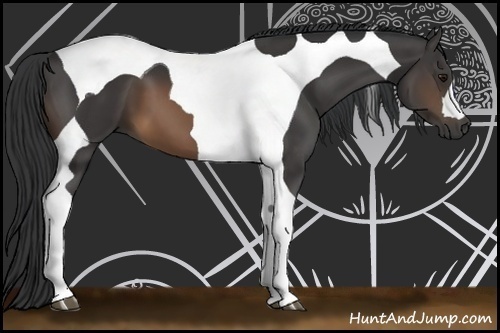 Horse Color:Buckskin Tobiano 