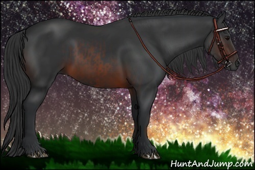 Horse Color:Brown  and Brown 