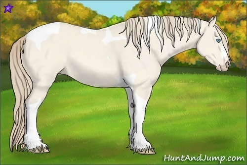 Horse Color:Perlino Dun Tobiano 