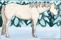 Horse Color:Perlino Dun