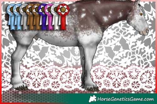 Horse Color:White Spotted Chocolate Black