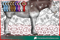 Horse Color:White Spotted Chocolate Black