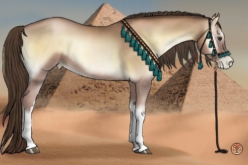 Horse Color:Liver Red Onyx Pearl 