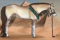 Horse Color:Liver Red Onyx Pearl 