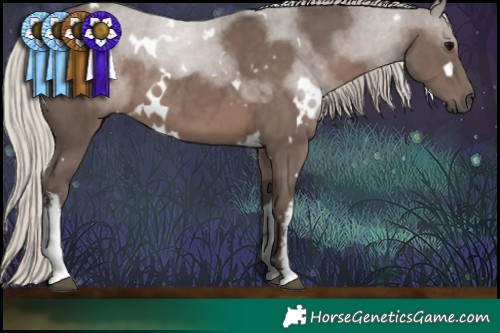 Horse Color:White Spotted Silver Black 