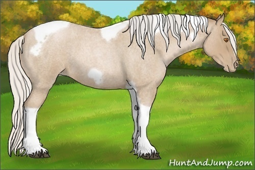 Horse Color:Silver Blue Roan Pearl Tobiano Frame 