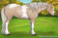 Horse Color:Silver Blue Roan Pearl Tobiano Frame