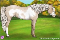 Horse Color:Silver Blue Roan Pearl Frame 