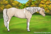 Horse Color:Silver Blue Roan Pearl Tobiano 