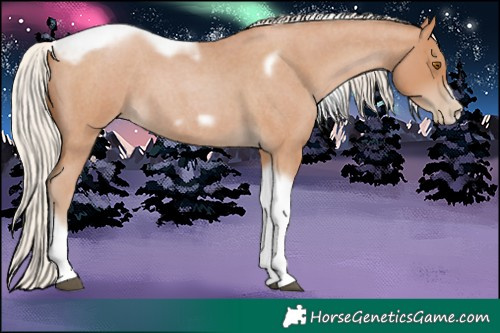 Horse Color:Silver Blue Roan Pearl Tobiano Frame 