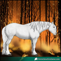 Horse Color:Silver Blue Chinchilla Roan Pearl Tobiano 