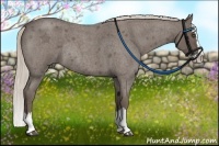 Horse Color:Silver Blue Roan Splash Rabicano 