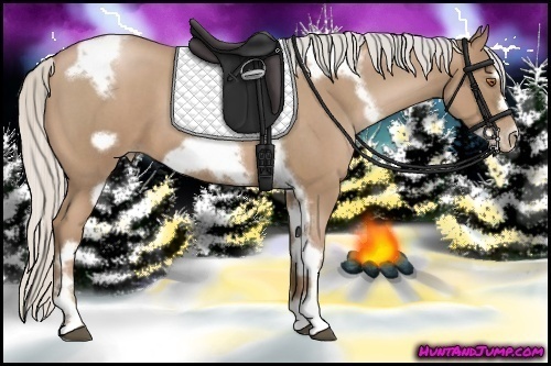 Horse Color:Silver Blue Roan Pearl Tobiano Frame