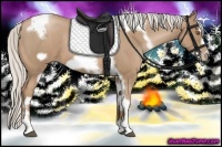 Horse Color:Silver Blue Roan Pearl Tobiano Frame