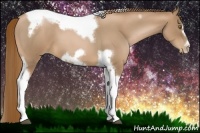 Horse Color:Liver Red Roan Pearl Tobiano Frame