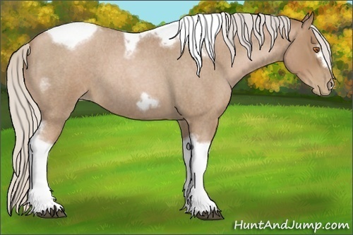 Horse Color:Silver Blue Roan Pearl Tobiano Frame