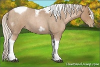 Horse Color:Silver Blue Roan Pearl Tobiano Frame
