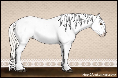 Horse Color:Silver Blue Roan Pearl Tobiano Frame Varnish 