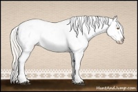 Horse Color:Silver Blue Roan Pearl Tobiano Frame Varnish 