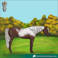 Horse Color:Chocolate Silver Brown