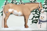 Horse Color:Silver Amber Champagne Frame 