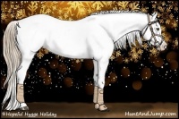 Horse Color:White Spotted Liver Chestnut Pearl Appaloosa 