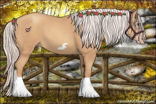 Horse Color:Silver Amber Champagne Frame 