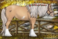 Horse Color:Silver Amber Champagne Frame 