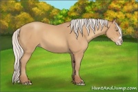 Horse Color:Silver Amber Champagne Frame 