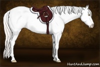 Horse Color:Silver Amber Champagne Frame Blanket