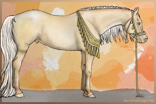 Horse Color:Silver Amber Champagne Pearl 