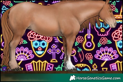 Horse Color:Chocolate Bay Pearl Sabino Rabicano