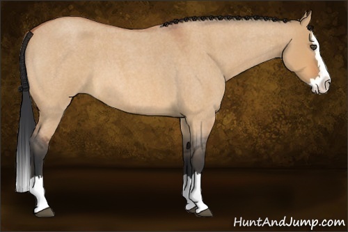 Horse Color:Bay Roan Dun Splash