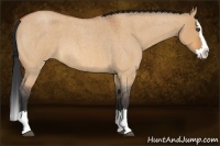 Horse Color:Bay Roan Dun Splash