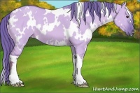 Horse Color:Watercolor White Spotted Red Dun