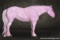 Horse Color:Watercolor Silver Smoky Blue Ice Roan
