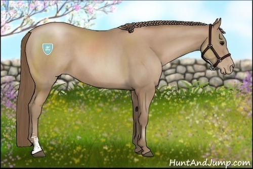 Horse Color:Black Pearl Sabino 