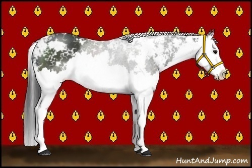 Horse Color:Black Sabino Splash Rabicano 