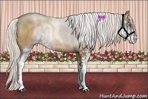Horse Color:Silver Black Pearl Sabino Rabicano 