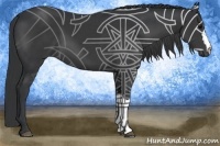 Horse Color:Black 