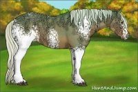 Horse Color:Watercolor White Spotted Silver Black Ice Rabicano